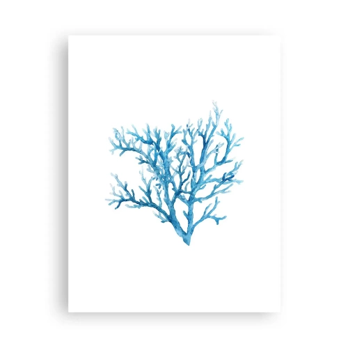 Plakat - Marint filigran - 30x40 cm