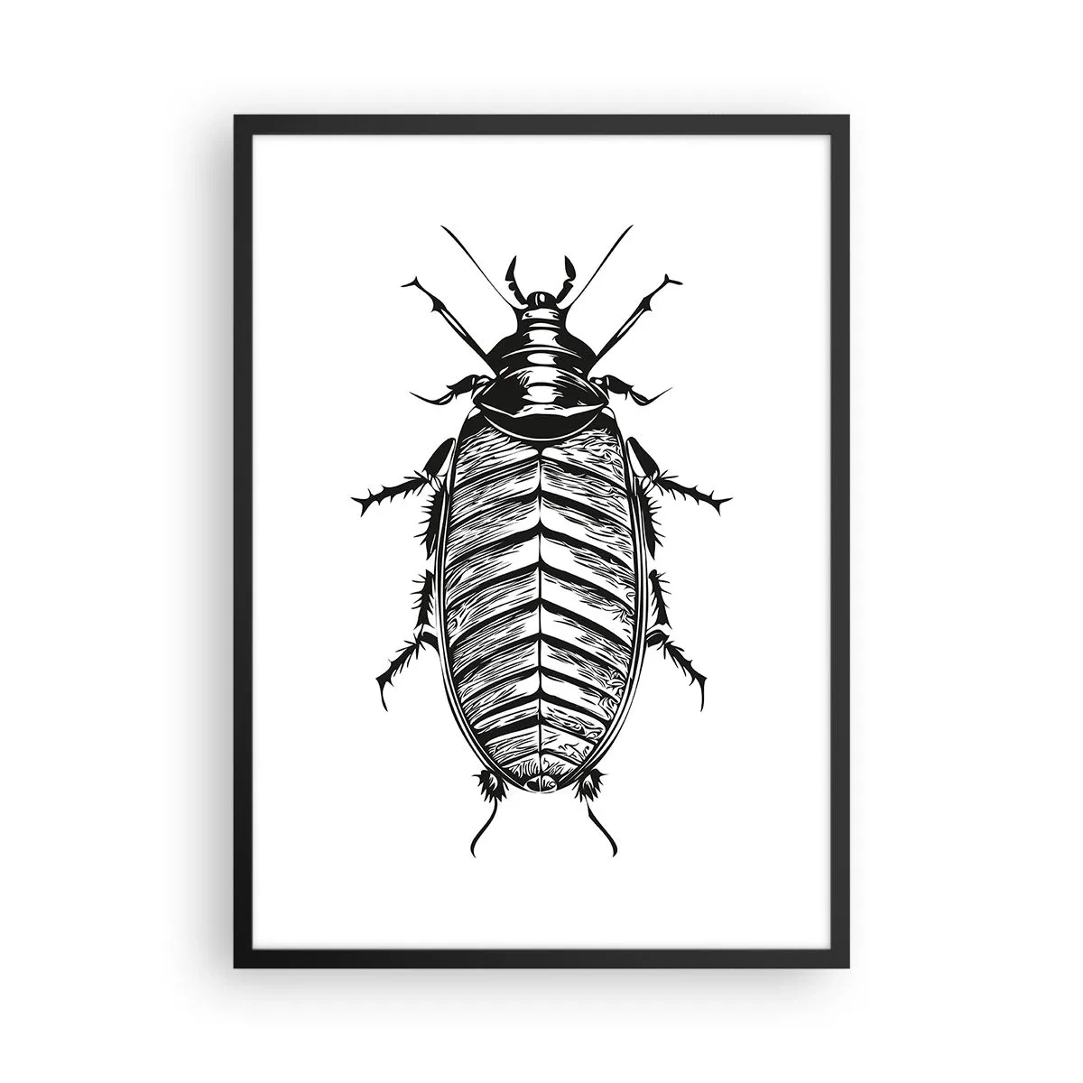 Plakat i sort ramme - Sort-hvid illustration af et insekt i detailhandelsstil - 50x70cm - Sikke et eksemplar! - Moderne vægdekoration til stue og soveværelse ARTTOR