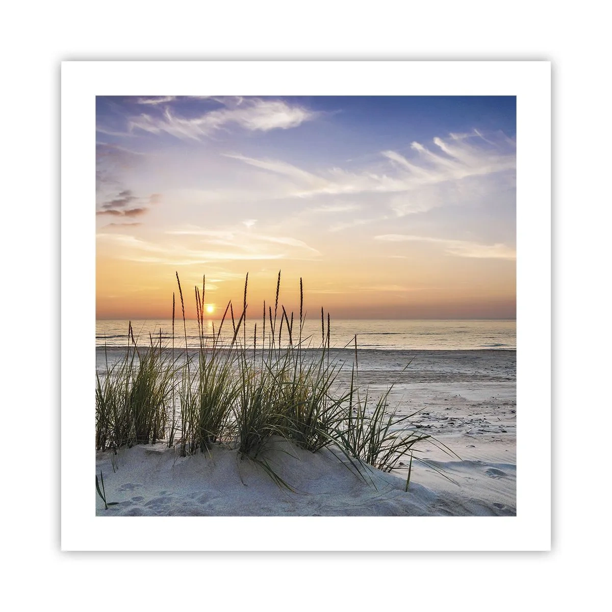 Plakat - Se, tænk, føl - 50x50 cm