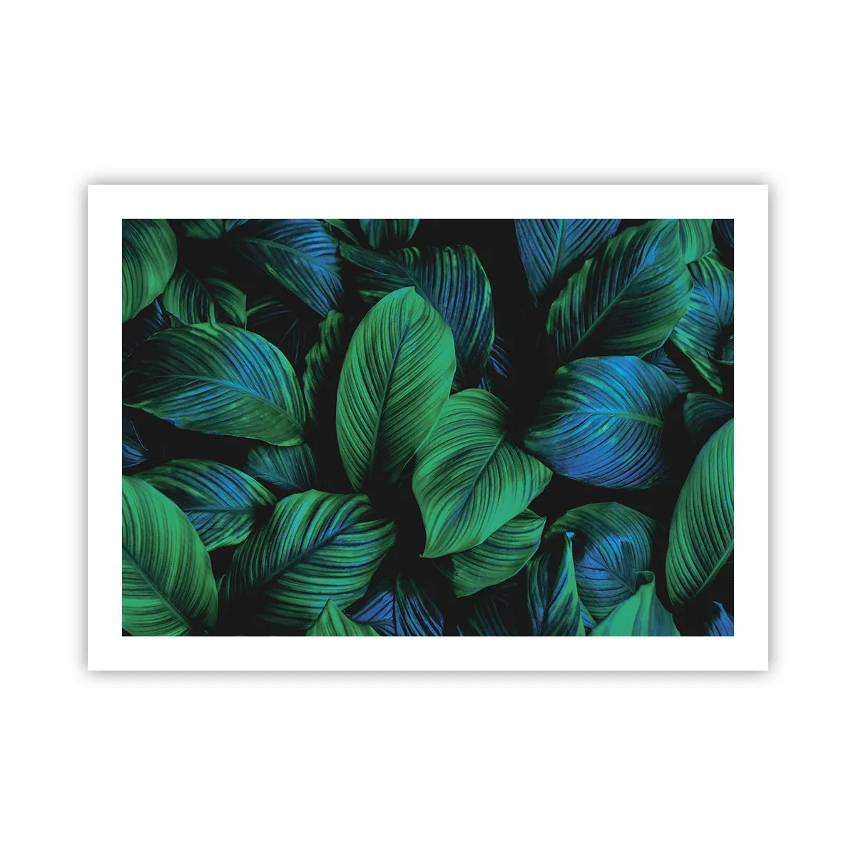 Plakat - I den grønne flok - 70x50 cm