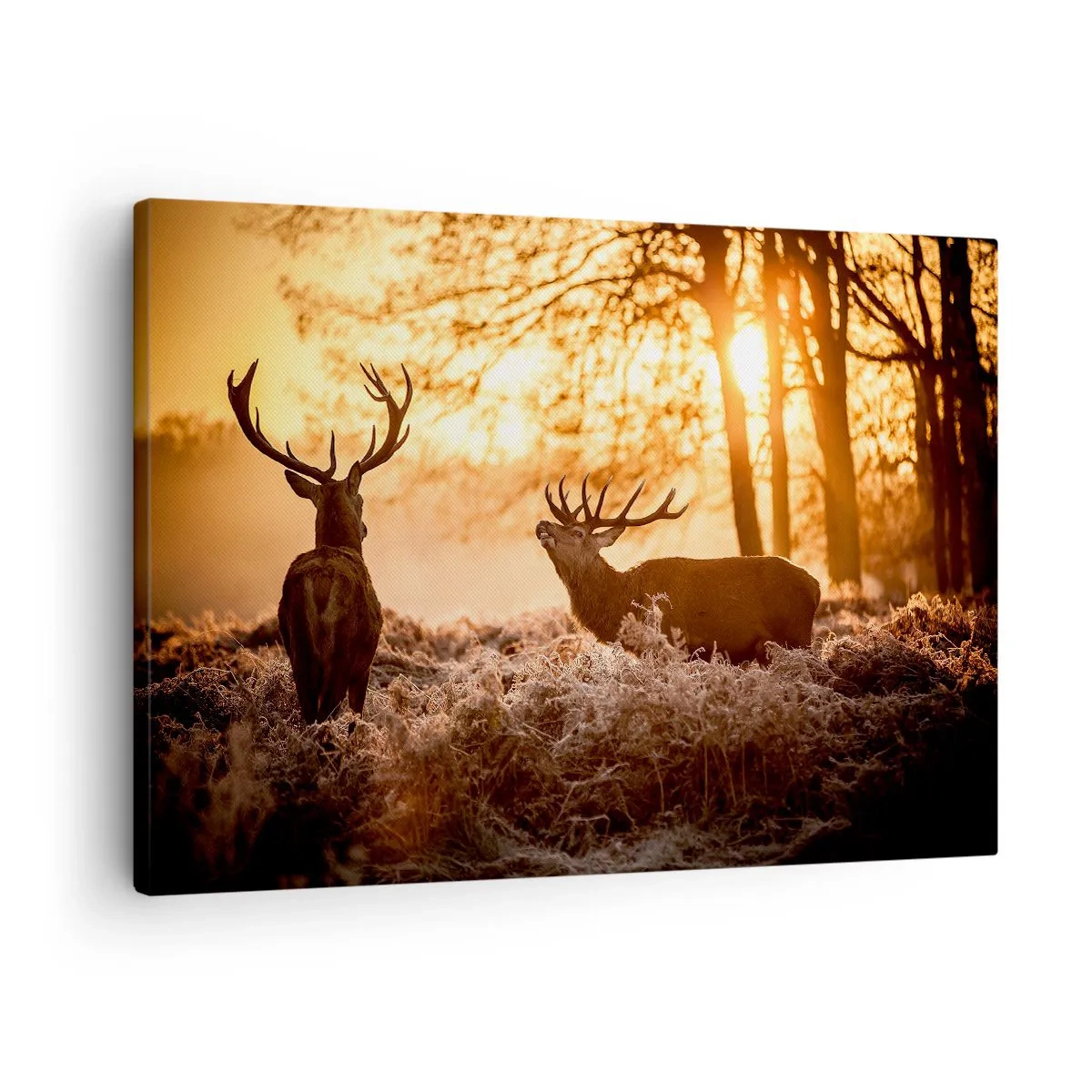 Lærredstryk - Billede på lærred - To hjorte ved solnedgang i et vinterlandskab - 70x50cm - En jægerdrøm - Moderne vægdekoration til stue og soveværelse ARTTOR