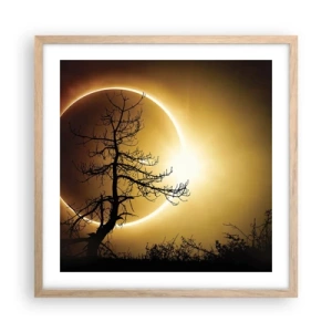 Plakat i ramme af lyst egetræ - Total formørkelse - 50x50 cm