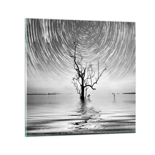 Billede på glas - En natursymfoni - 60x60 cm