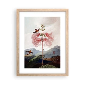 Plakat i ramme af lyst egetræ - I et tropisk paradis - 30x40 cm