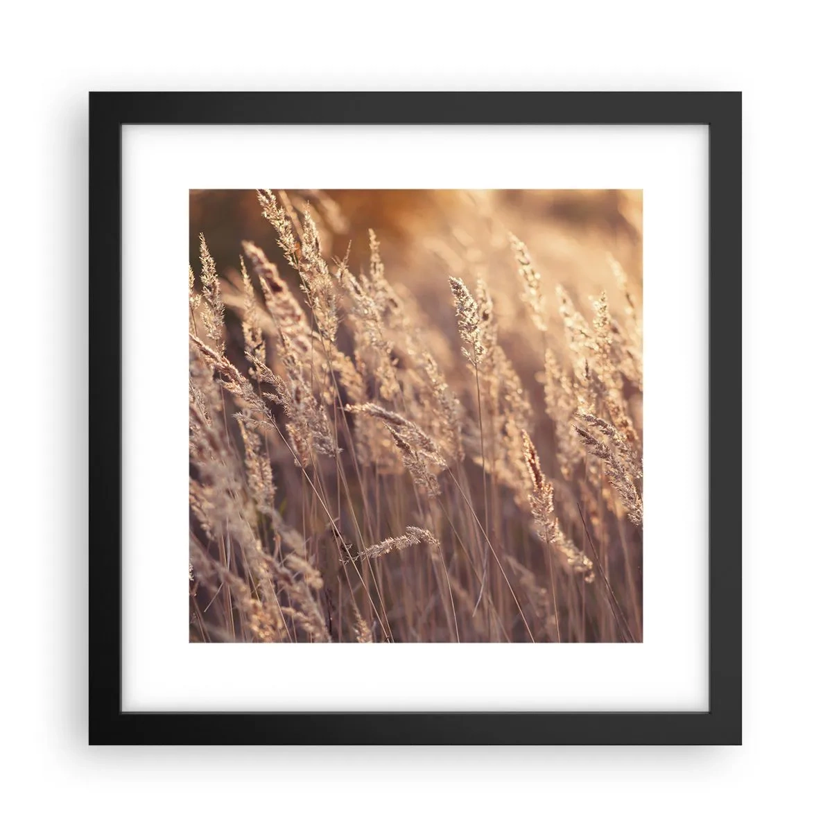 Plakat i sort ramme - Klar til at byde efteråret velkommen - 30x30 cm