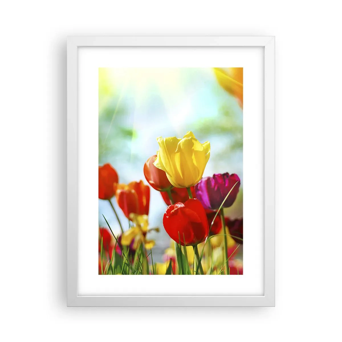 Plakat i hvid ramme - Alle solens farver - 30x40 cm