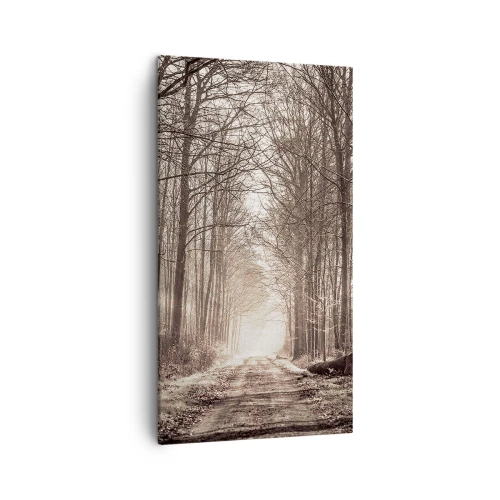 Lærredstryk - Billede på lærred - Skovkatedralen - 45x80 cm