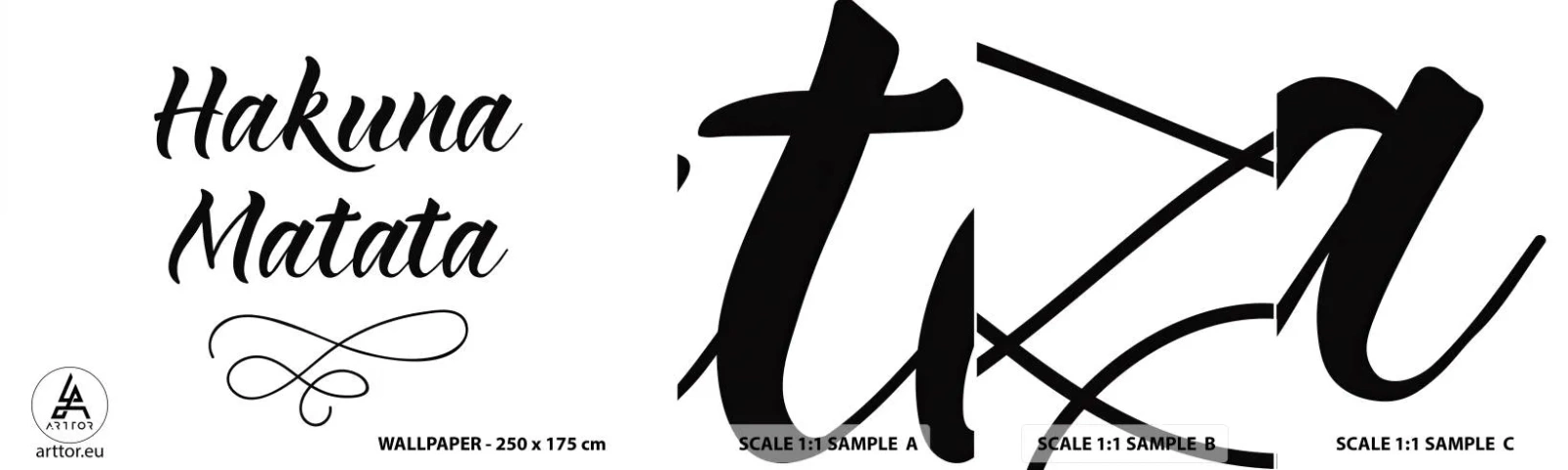 Fototapet Prøve Standard Eco - Bedste råd - Typografi, Bekræftelse, Maxim - 100x30 cm