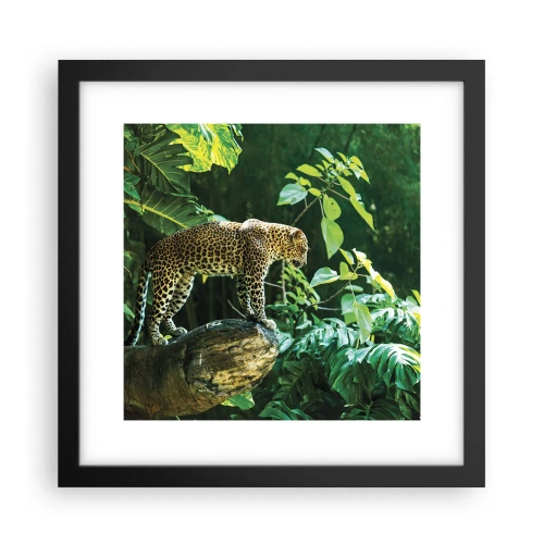 Plakat i sort ramme - Til jagt? - 30x30 cm