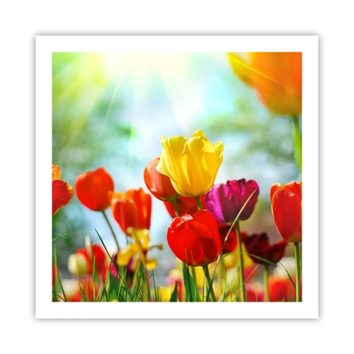 Plakat - Alle solens farver - 60x60 cm