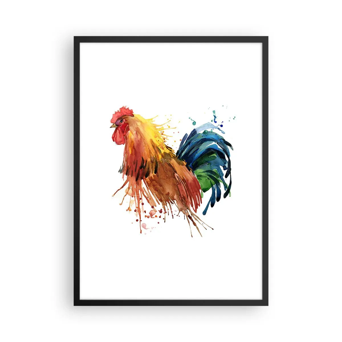 Plakat i sort ramme - Farverig hane i akvarelstil - 50x70cm - Kongelig kappe, kongelig stolthed - Moderne vægdekoration til stue og soveværelse ARTTOR