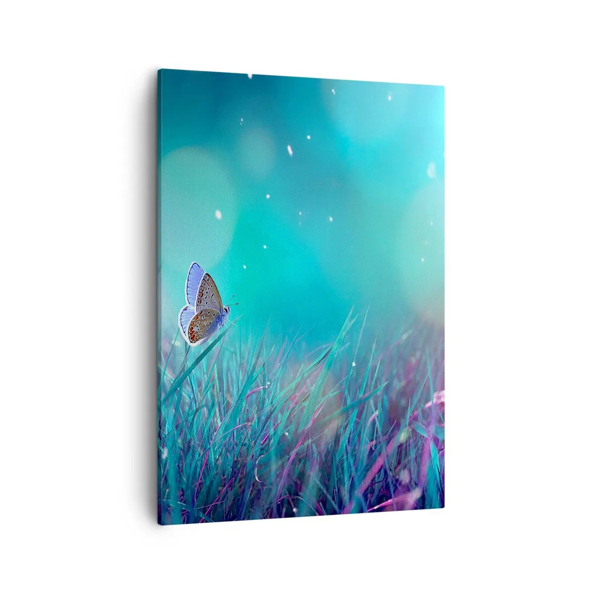 Lærredstryk - Billede på lærred - En engs hemmelige liv - 50x70 cm