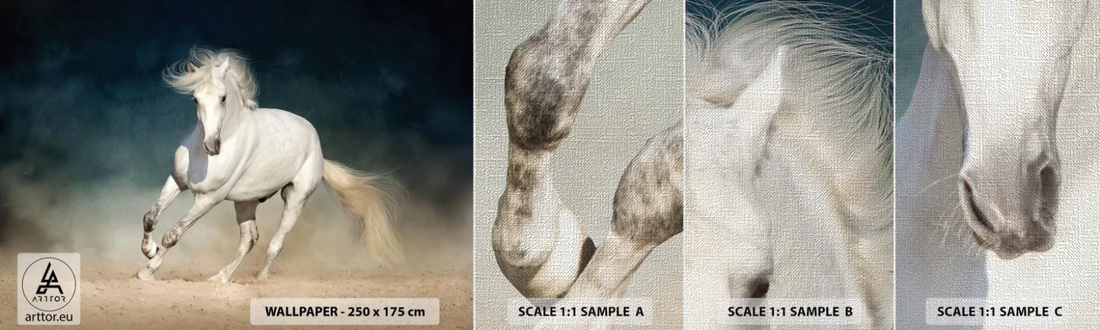 Prøve Fototapet Premium Canvas - Frihed i en ren tilstand - Hest, Dyr, hvid - 100x30 cm