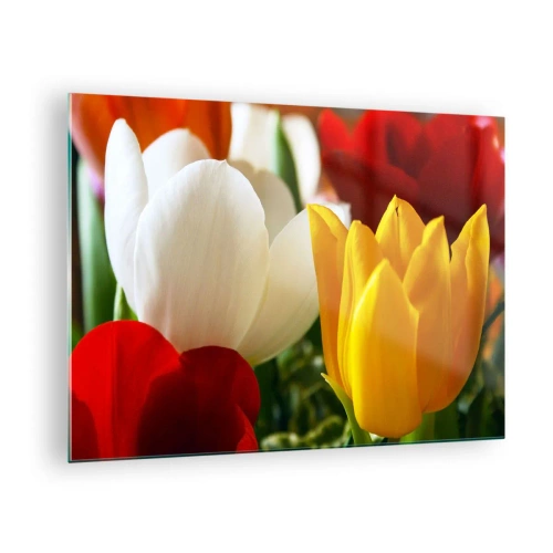 Billede på glas - Farverige tulipaner nærbillede - 70x50cm - Tulipanfeber - Moderne vægdekoration til stue og soveværelse ARTTOR