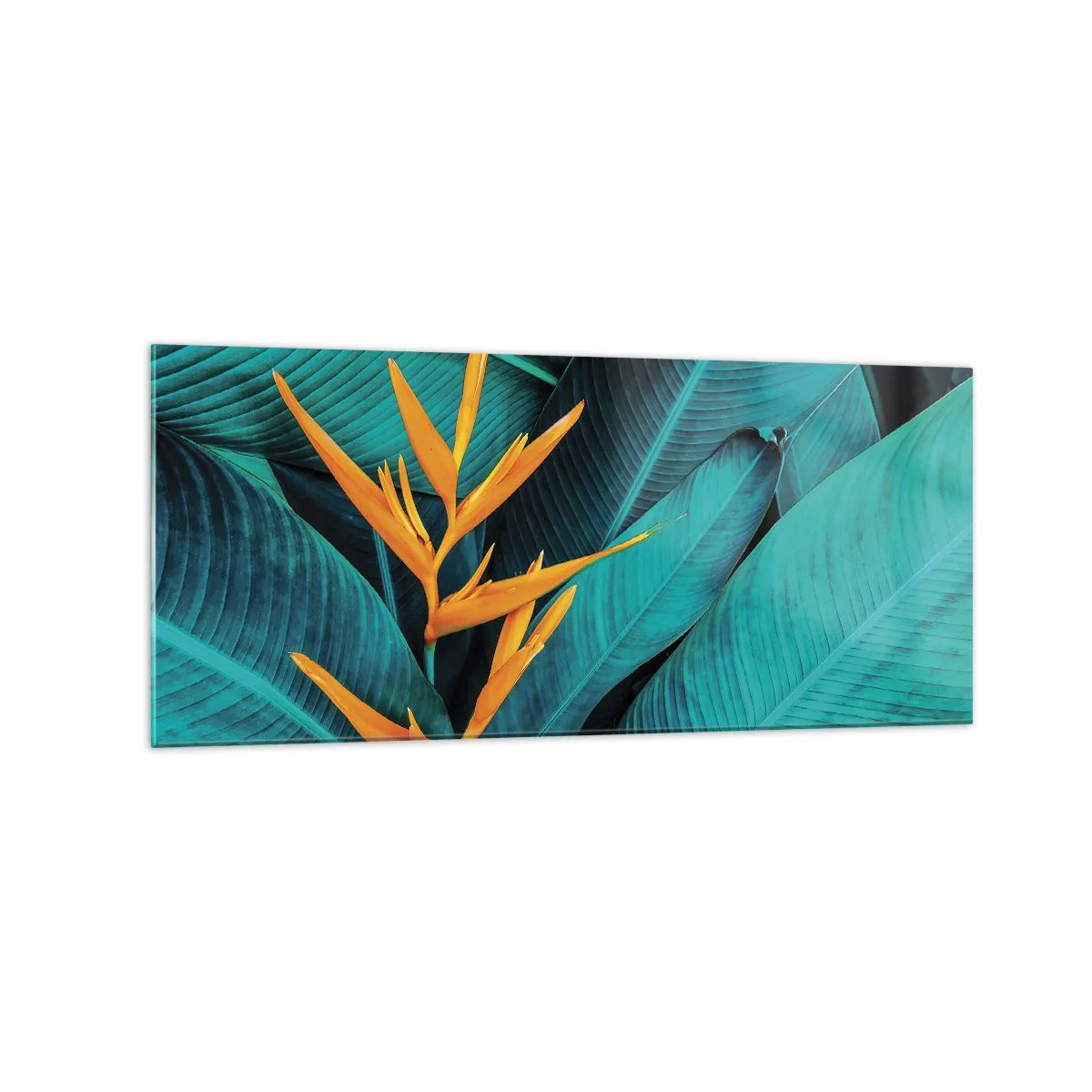Billede på glas - Edens blomst - 120x50 cm