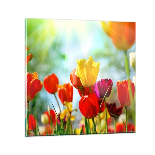 Billede på glas - Alle solens farver - 40x40 cm