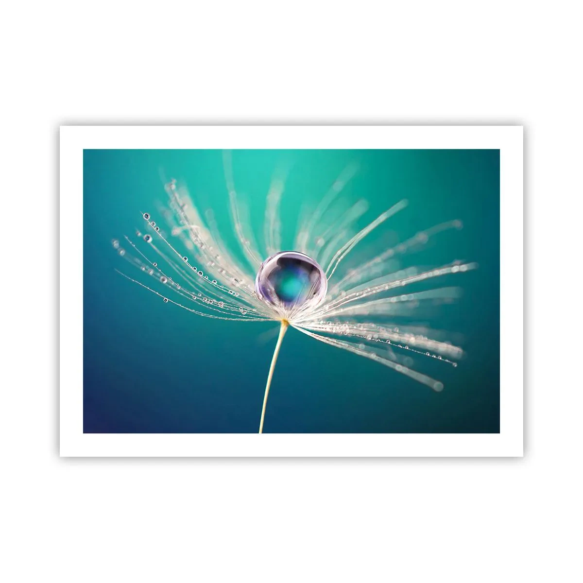 Plakat - Mystisk øjeblik - 70x50 cm