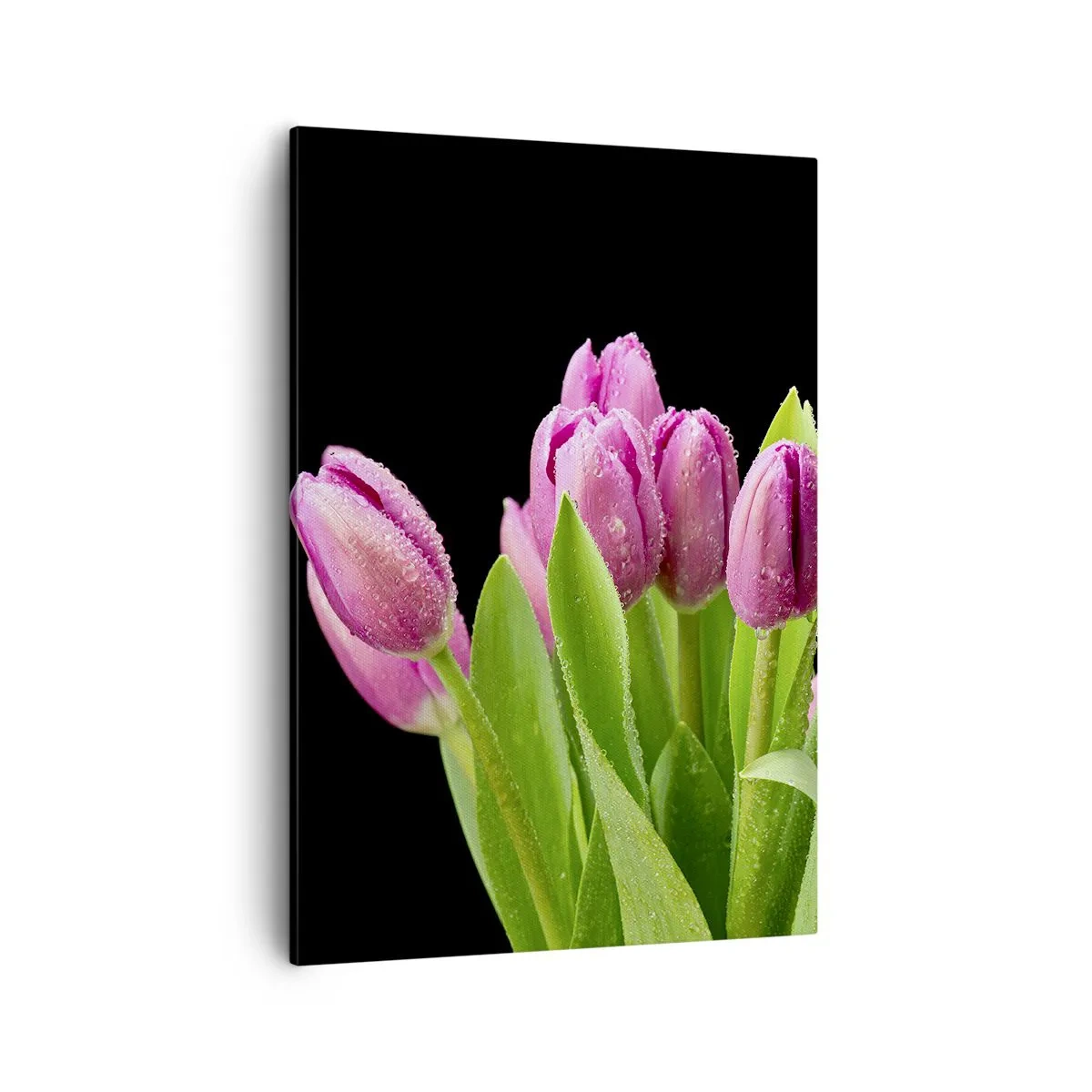Lærredstryk - Billede på lærred - Forårets lilla glæde - 50x70 cm