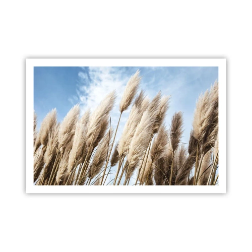 Plakat - Solrig og blæsende kærtegn - 91x61 cm