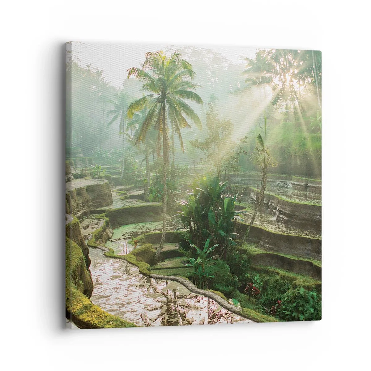 Lærredstryk - Billede på lærred - Voksende op i solen - 30x30 cm