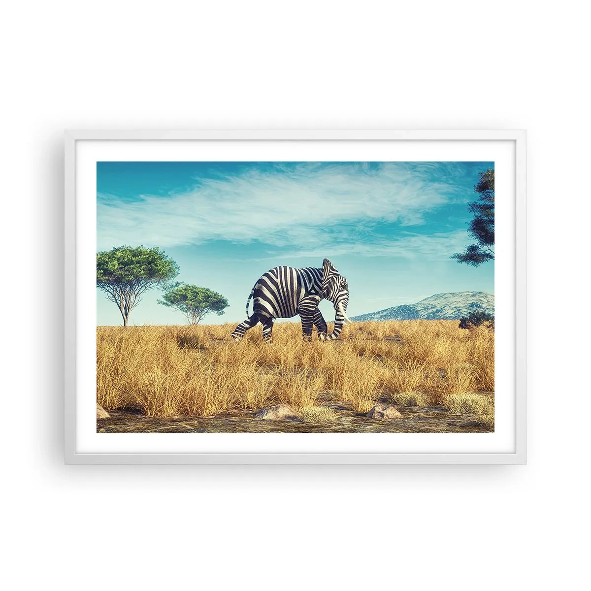 Plakat i hvid ramme - Grå er ikke længere på mode - 70x50 cm