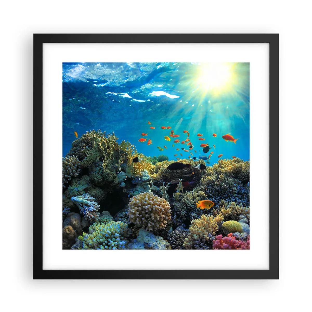 Plakat i sort ramme - Undervandsskatte - 40x40 cm