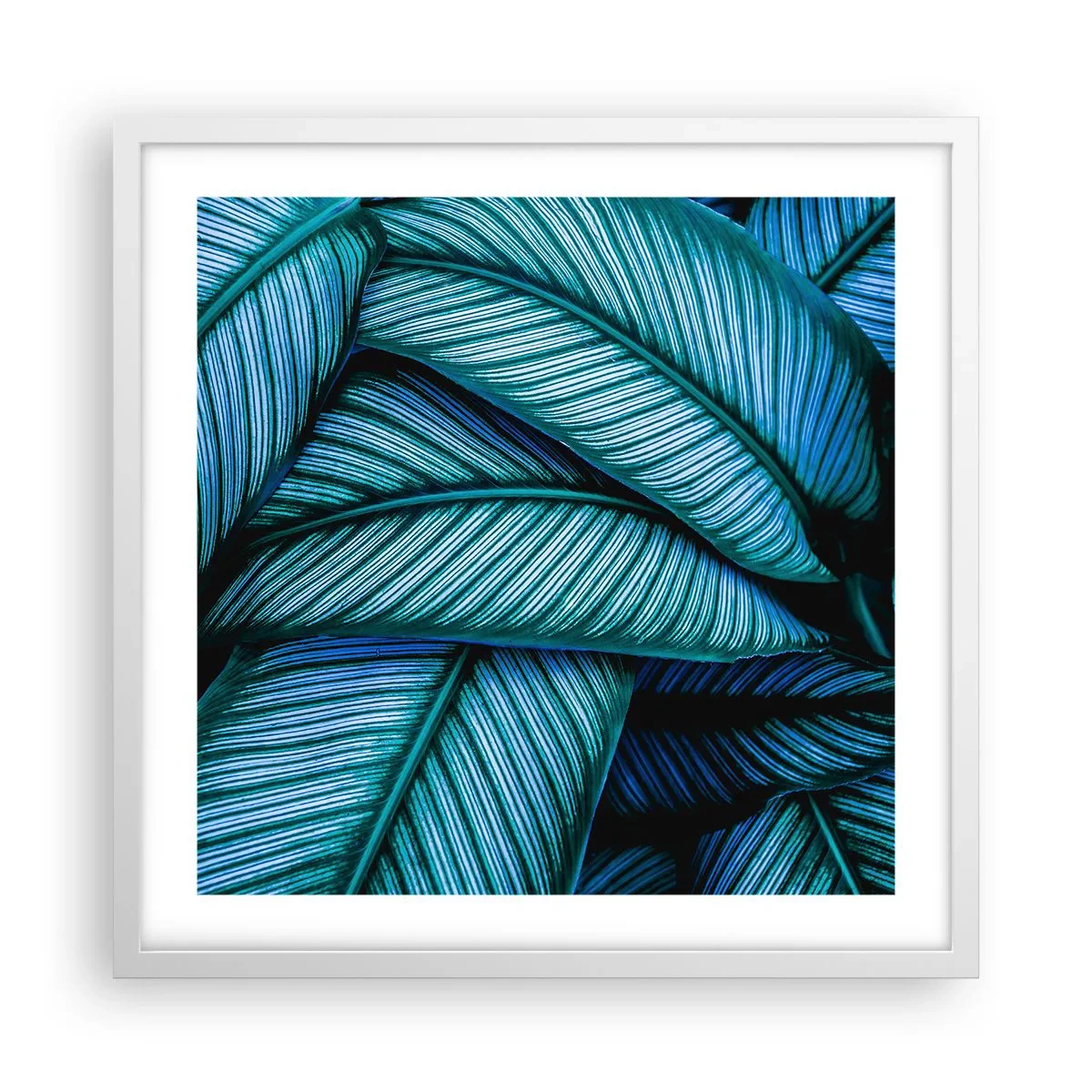 Plakat i hvid ramme - Livslinjer - 50x50 cm