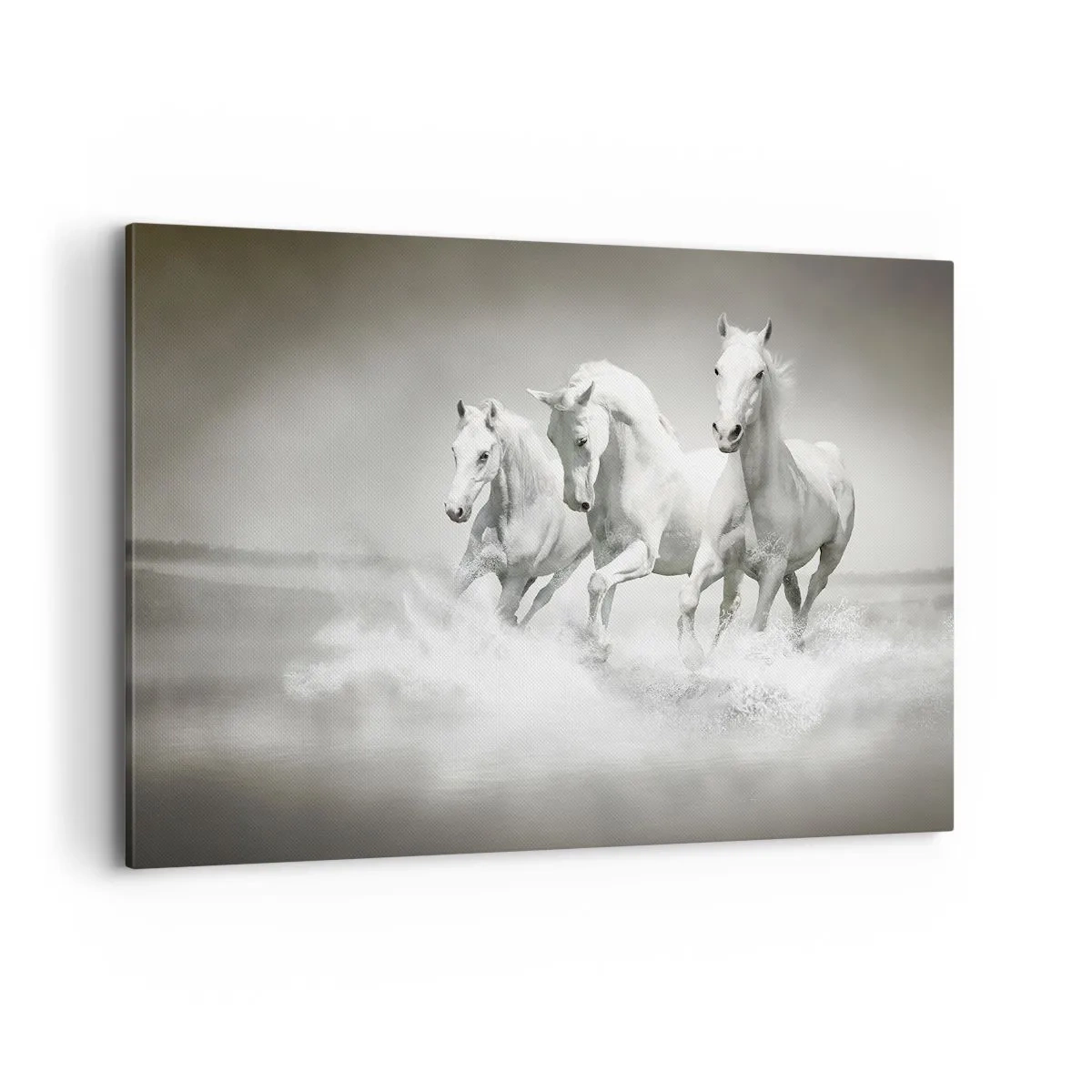 Lærredstryk - Billede på lærred - Hvid galskab - 100x70 cm