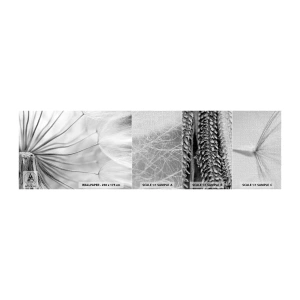 Prøve Fototapet Premium Canvas - Blæsende drager - Minimalisme, Delikat, Blomst - 100x30 cm