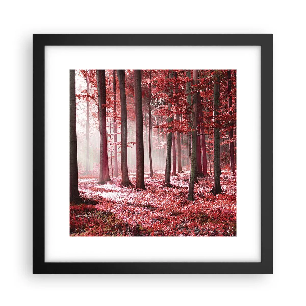Plakat i sort ramme - Rød er lige så smuk - 30x30 cm