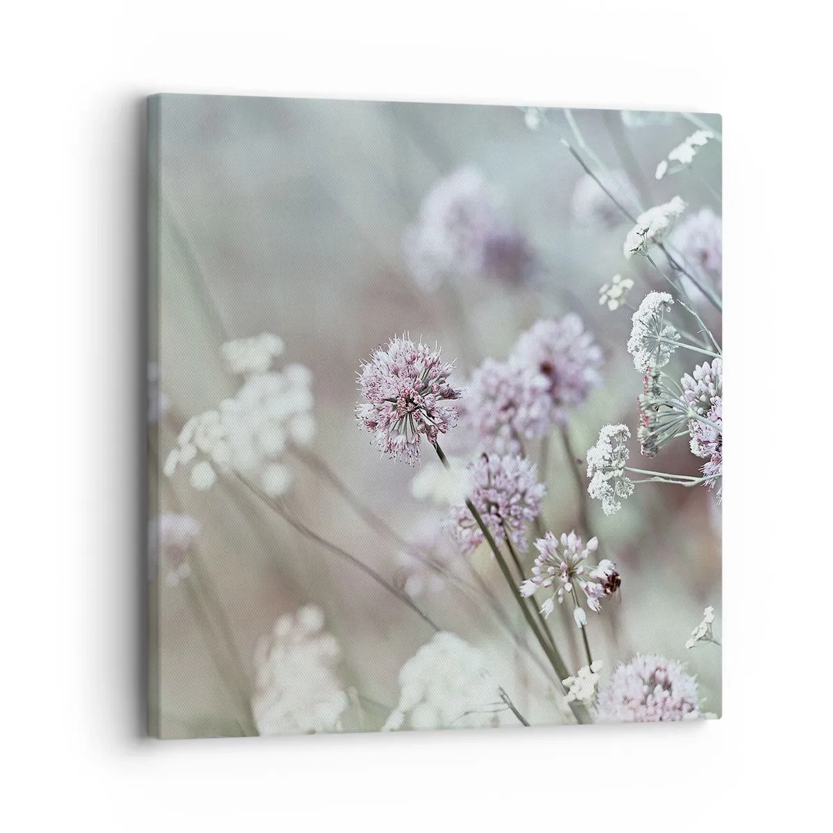 Lærredstryk - Billede på lærred - Søde filigranurter - 30x30 cm