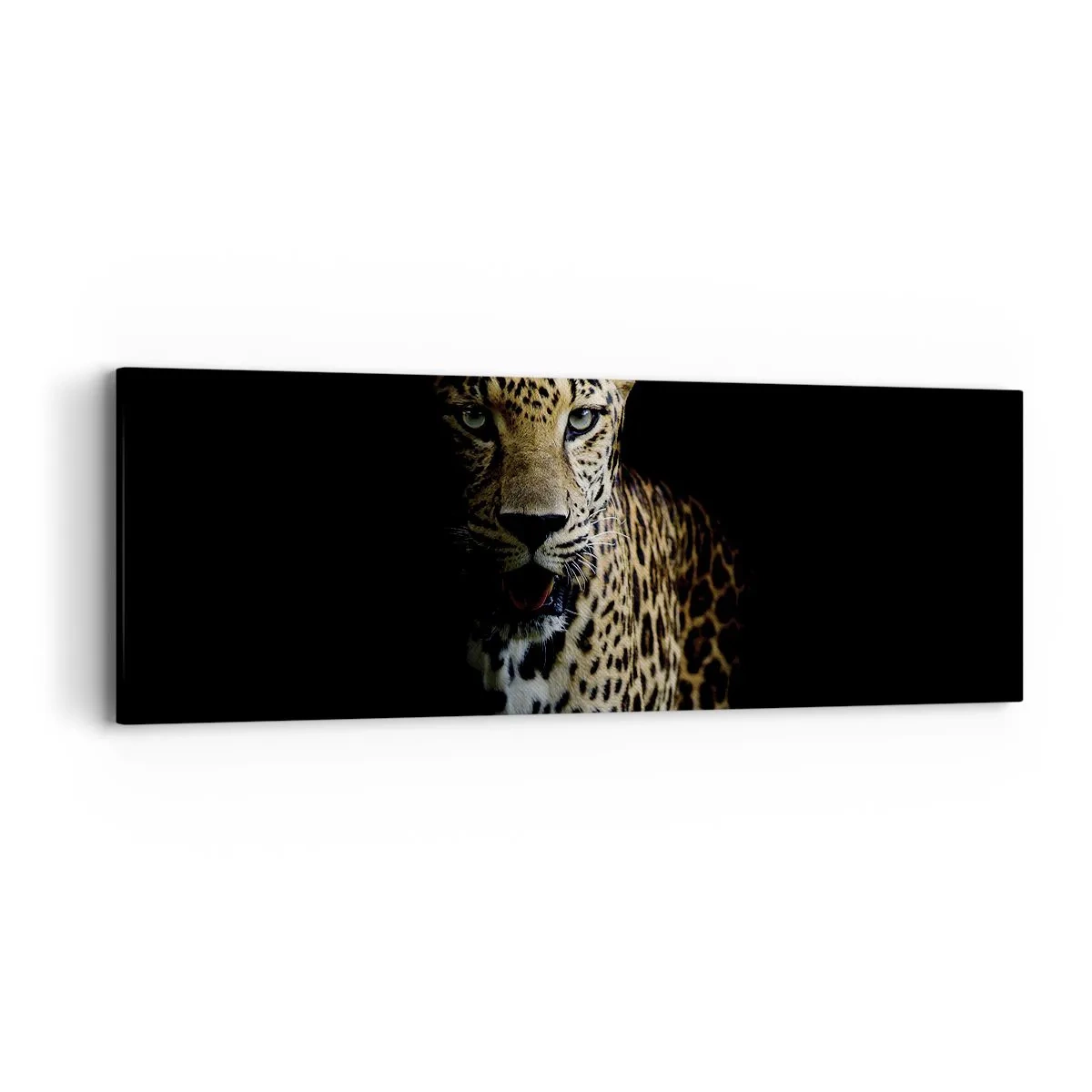 Lærredstryk - Billede på lærred - Mørk skønhed - 90x30 cm