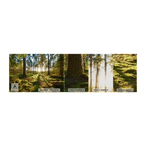 Prøve Fototapet Premium Sand - ...Bag de syv skove - Landskab, Skov, Natur - 100x30 cm