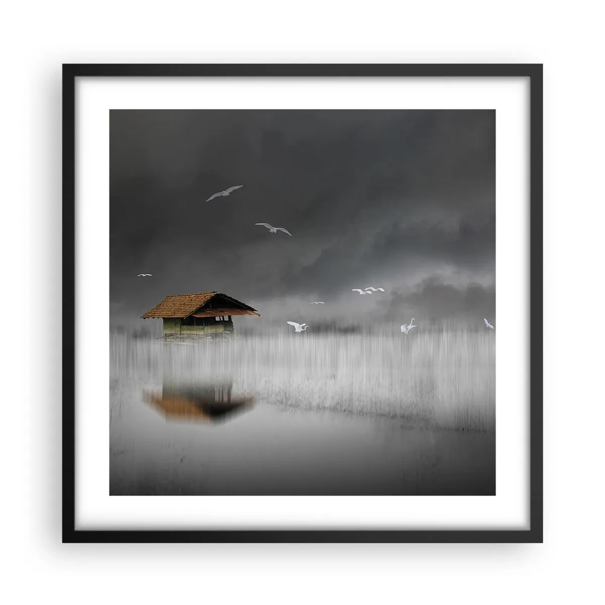 Plakat i sort ramme - Beskyttelse mod regnen - 50x50 cm