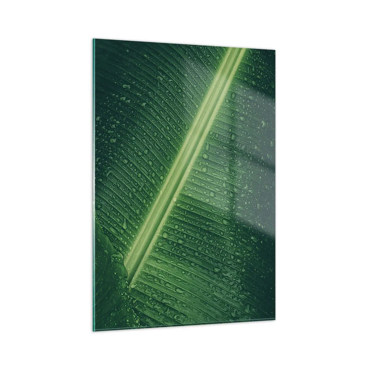 Billede på glas - Grøn struktur - 50x70 cm