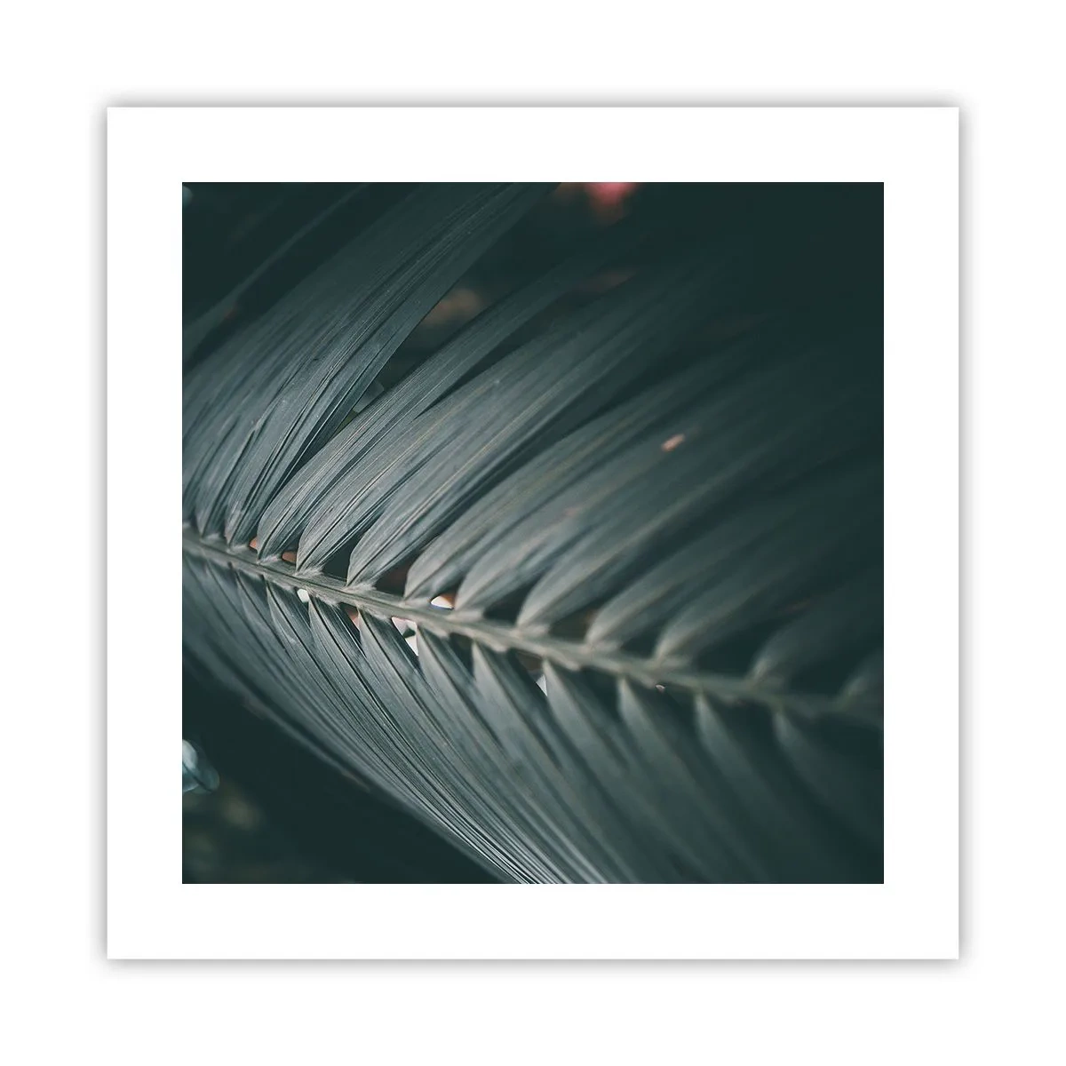 Plakat - Naturens præcision - 40x40 cm