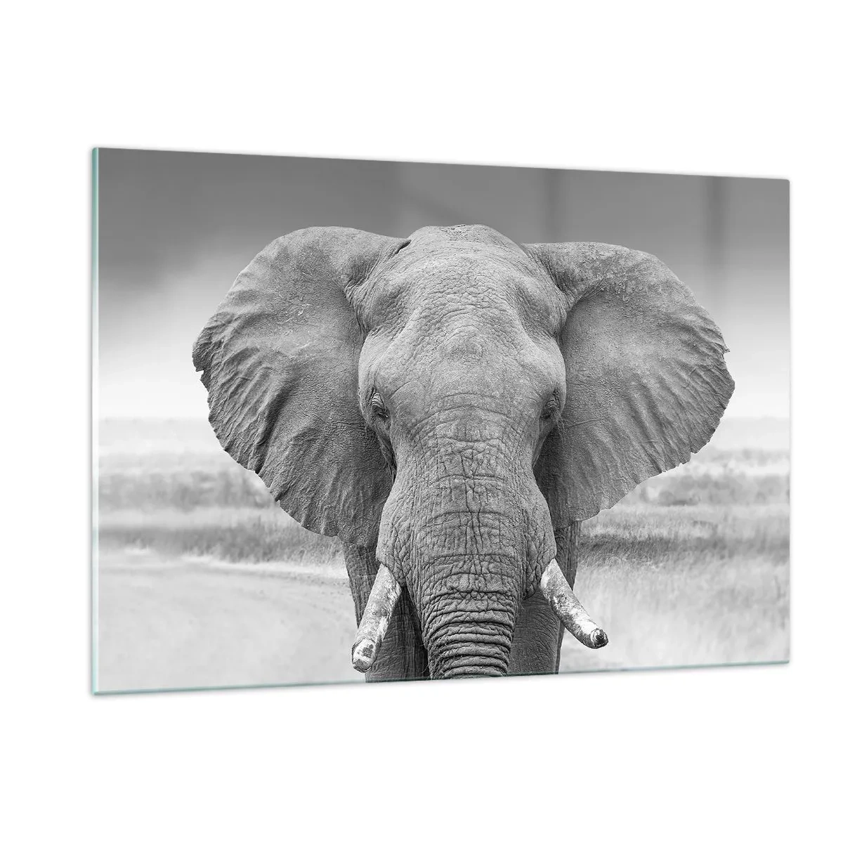 Billede på glas - Velkommen til min verden - 120x80 cm