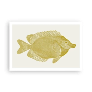 Plakat - Fisk og det er det - 91x61 cm