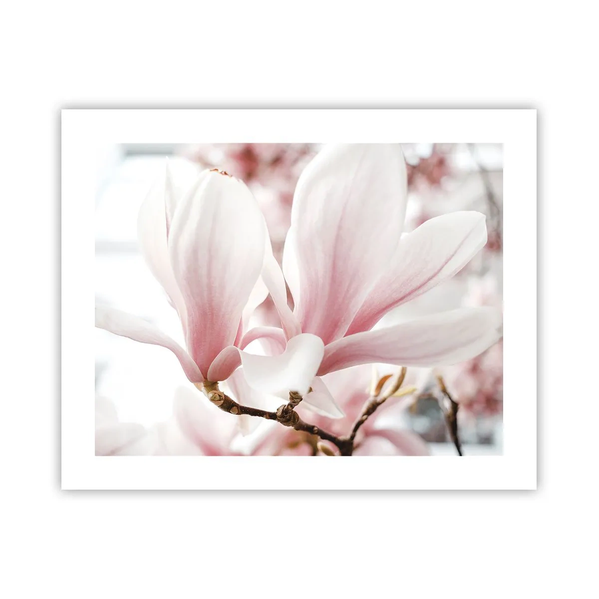 Plakat - Ømhedens umådelighed - 50x40 cm