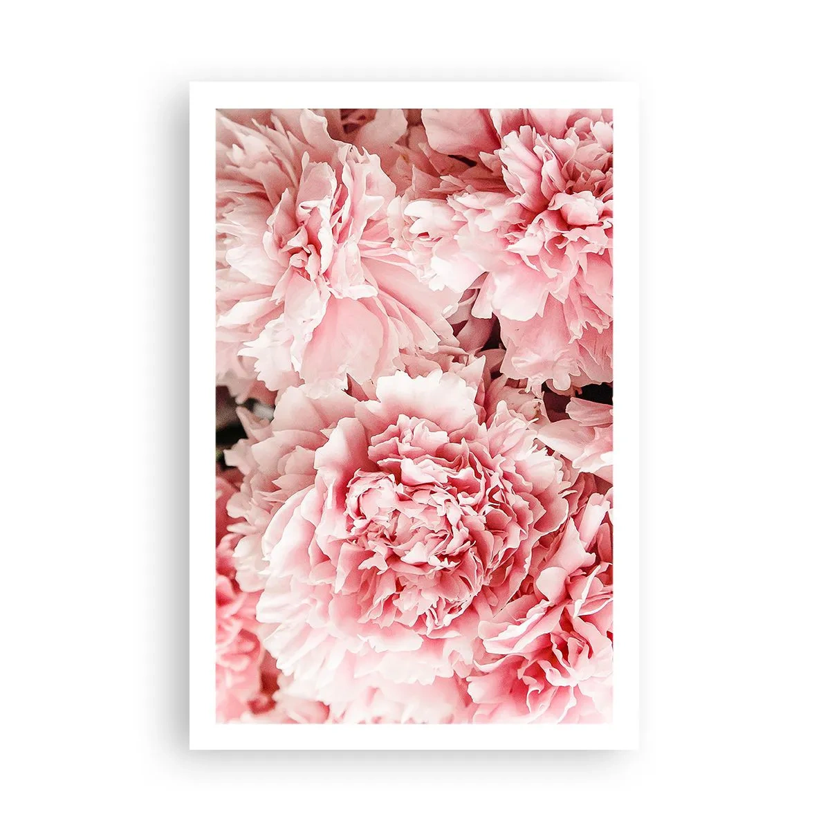 Plakat - Lyserød drøm - 61x91 cm