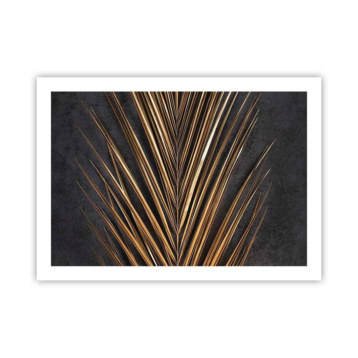 Plakat - Tropernes guld - 70x50 cm