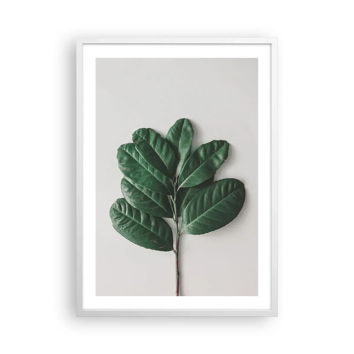 Plakat i hvid ramme - Tegning af selve naturen - 50x70 cm