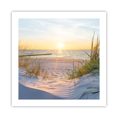 Plakat - Havet brummer, fuglene synger, en vild strand midt i græsset.... - 50x50 cm