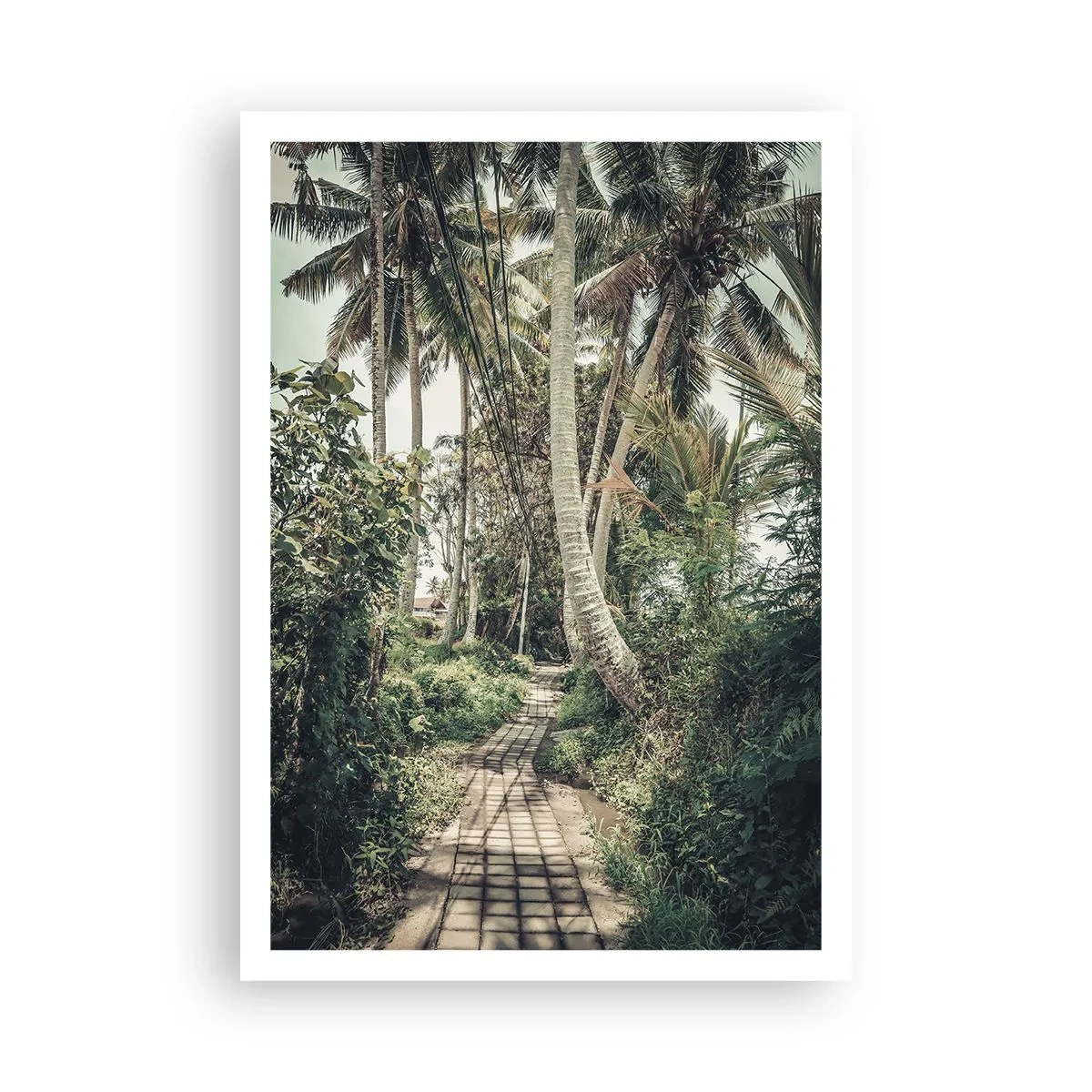 Plakat - Palmeallé - 70x100 cm