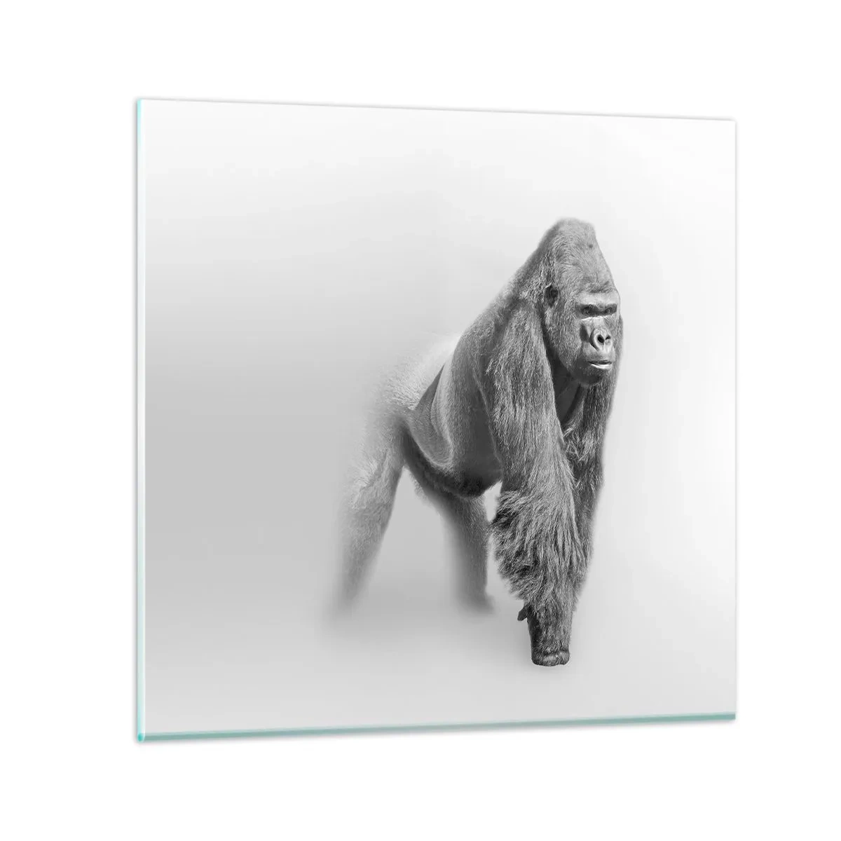 Billede på glas - Selvsikker på sin styrke - 60x60 cm