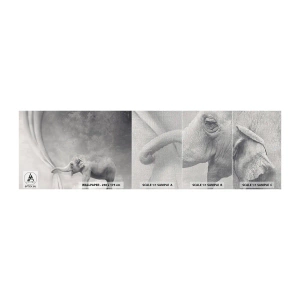 Prøve Fototapet Premium Canvas - Afslør hemmeligheden - Abstraktion, Elefant, Grafik - 100x30 cm
