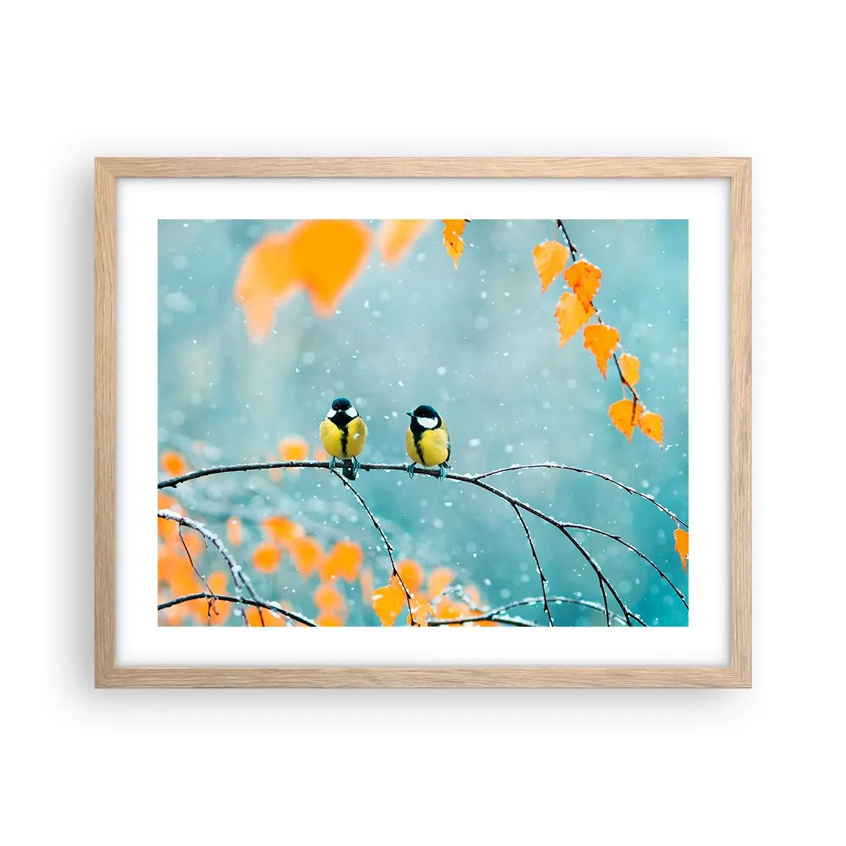Plakat i ramme af lyst egetræ - Sladder om fugle - 50x40 cm