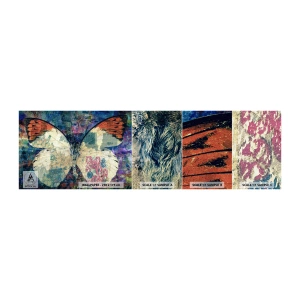 Fototapet Prøve Standard Eco - Subtil skrøbelighed - Sommerfugl, Abstraktion, Stykke - 100x30 cm