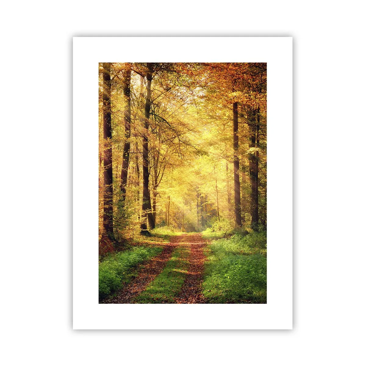 Plakat - Skovgylden stilhed - 30x40 cm