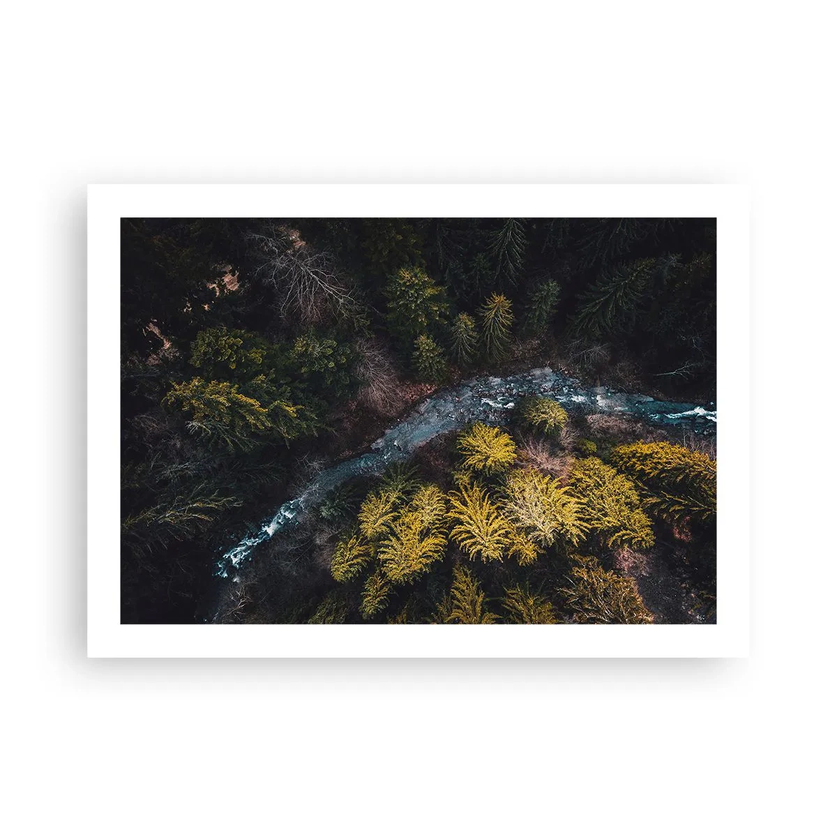 Plakat - Hurtigt, stadig hurtigere - 70x50 cm